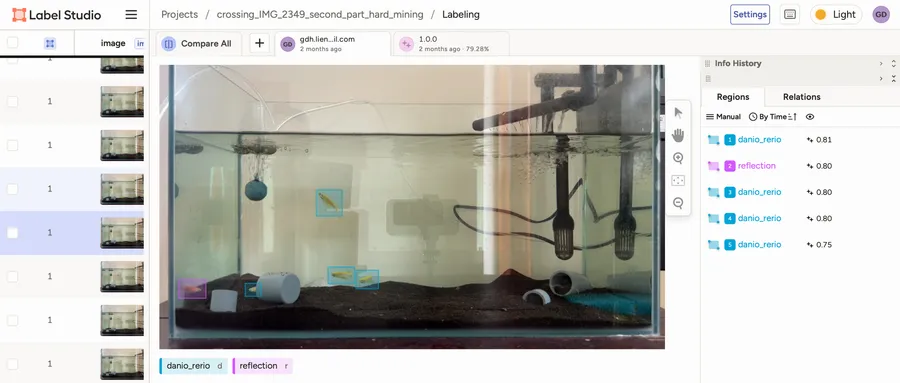 Label Studio labelling view of a tank frame. Bounding boxes are drawn around each fish, the task list is on the left, the list of regions with their classes is on the right, and the two class buttons, danio_rerio and reflection, sit under the image.