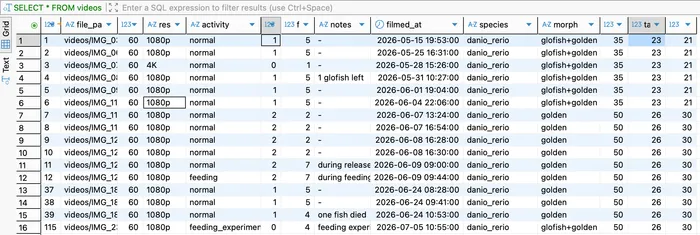 Verification SQL query against the videos table